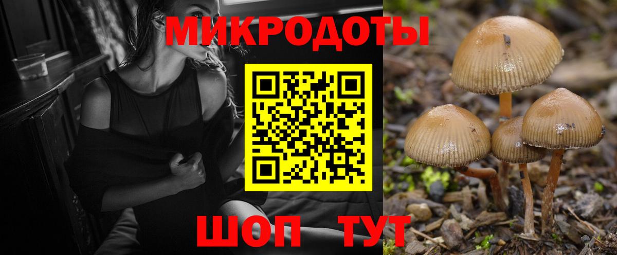 Псилоцибиновые грибы прущие грибы Комсомольск-на-Амуре
